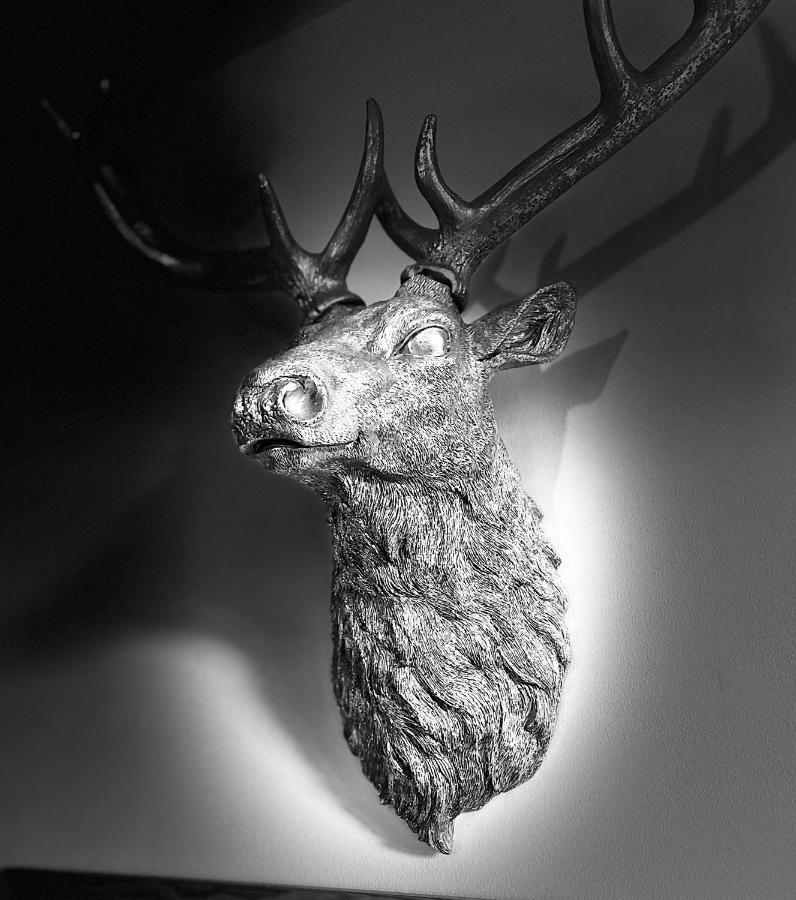 Grey Stag Apartment Nairn Eksteriør bilde